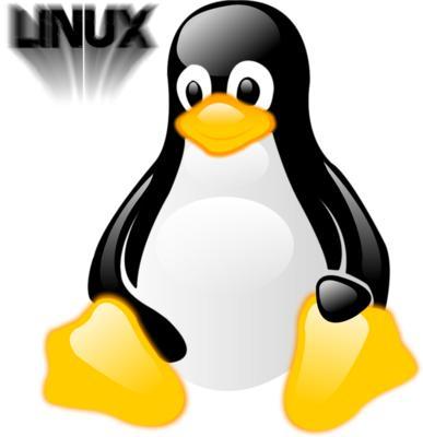 Logo-Linux-Tux,N-C-840-3.jpg